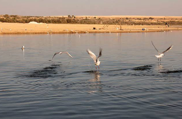 Lake Qarun